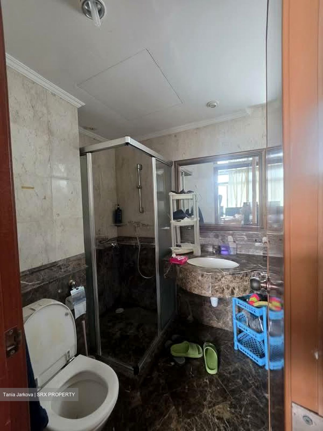 Parc Palais (D21), Condominium #539845831